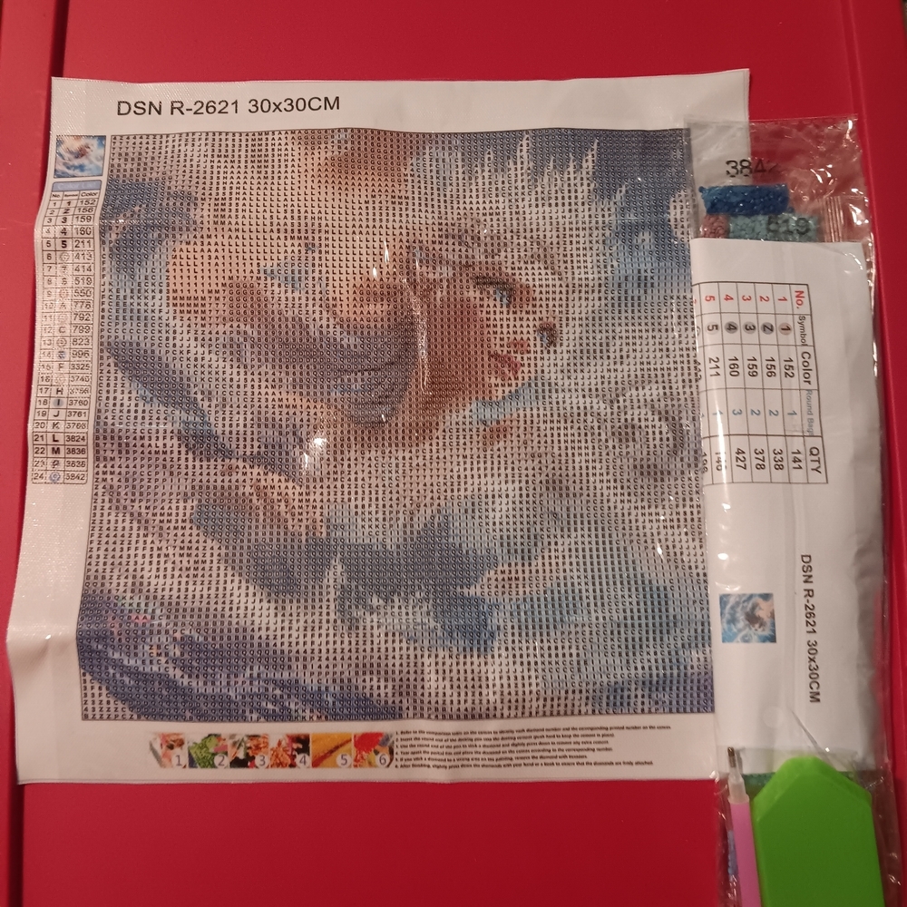 30x30 Diamond Painting Kit with Princess Elsa Design